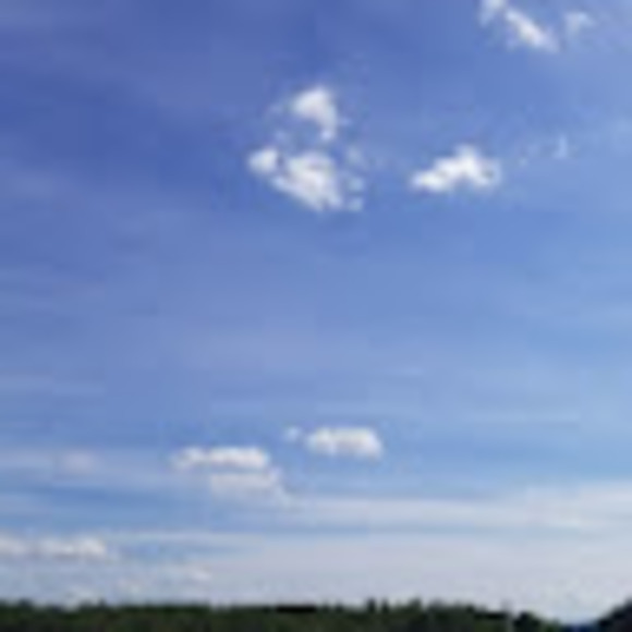 Meet your Posher, Katherine - Picture 1 of 1